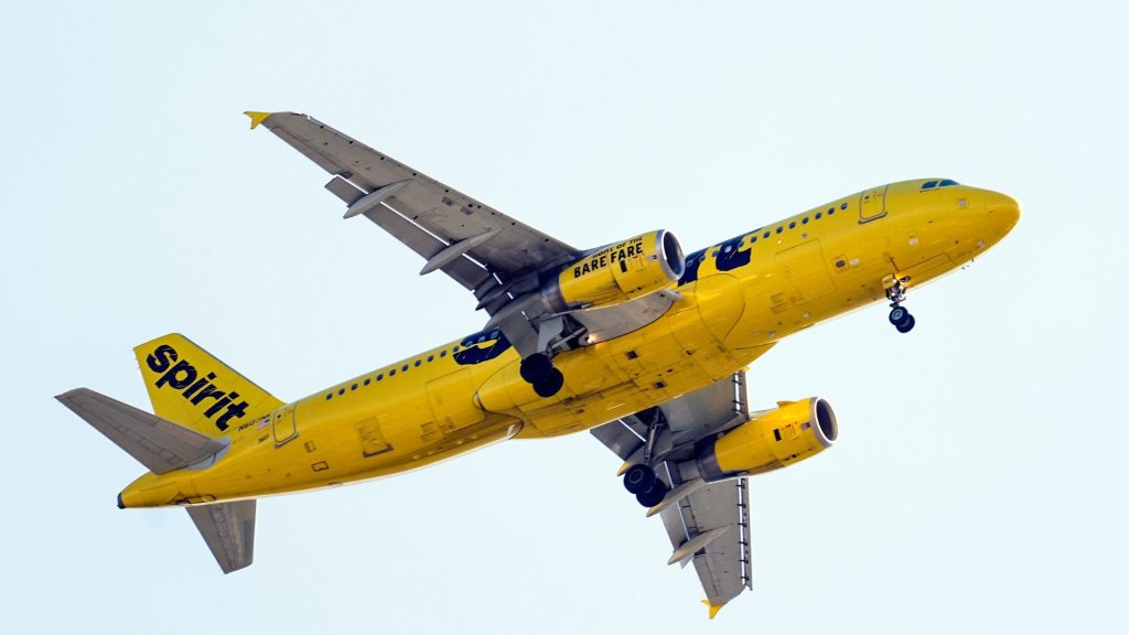 Spirit Airlines Booking